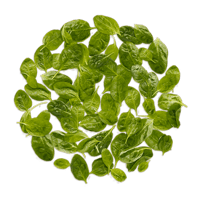 Spinach image